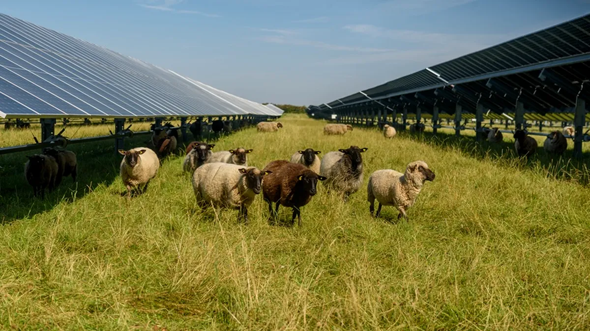 Ministru, afirmaţie şocantă: România nu mai este de ani buni un mare producător de energie