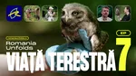Pajiști, ecoducte și infrastructură critică: trei modele prin care România își protejează biodiversitatea