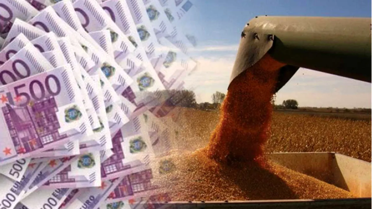 Cât grâu ucrainean a importat România de la 1 iulie 2023