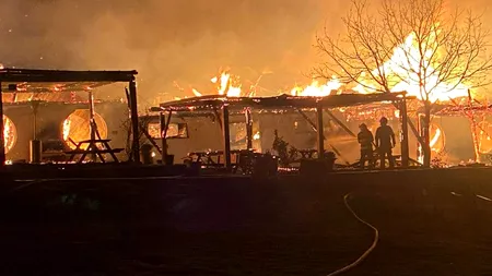 Dramă la Ferma Dacilor: cinci adulți și un copil, morți în incendiu