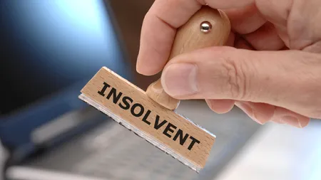 Câte firme au intrat în insolvență în 2024?