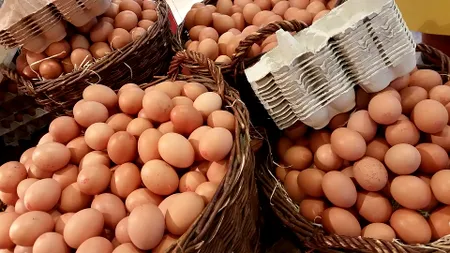  Comercianţii de ouă, amendați cu 380.000 lei de ANPC