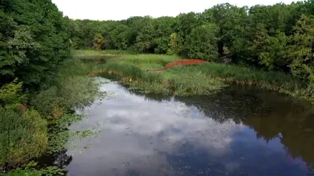 Ce s-a ales de lacul lui Mihai Eminescu. Sursa de inspirație a poetului a fost lăsată în paragină