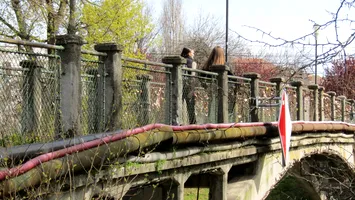Din dragoste sau din grabă, timișorenii își riscă și viața