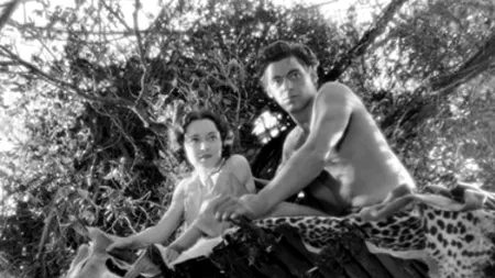 41! Nu tramvaiul, nu numărul la pantofi, dar ce? Anii fără Tarzan (VIDEO)