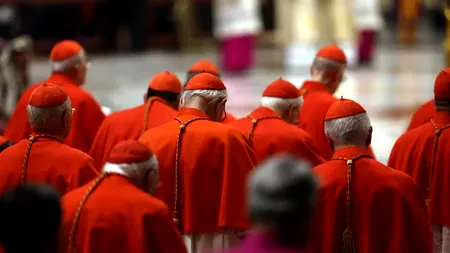 Cine ar putea fi succesorul Papei Francisc
