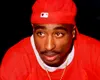 Povestea incredibilă din spatele piesei „Brenda’s Got a Baby”: Cum a fost regăsit copilul care a inspirat versurile lui Tupac