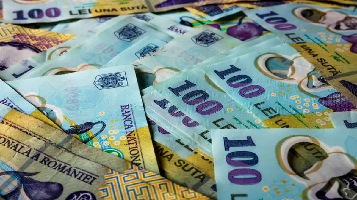 Un miliard de lei de la Guvern: la cine ajunge și ce se face cu el