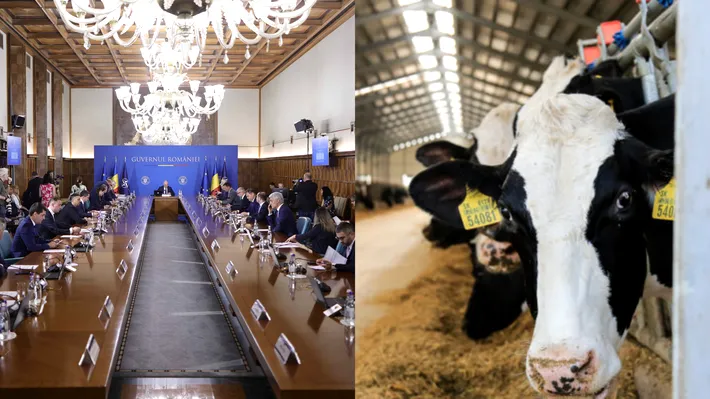 Guvernul a aprobat înființarea rețelei de date pentru monitorizarea fermelor din țară