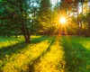 Vreme numai bună pentru iarbă verde, de Rusalii. Ce temperaturi vor fi la începutul verii