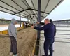 Gigi Nețoiu inaugurează cea mai modernă fermă de vaci Angus din Europa, la Dolj