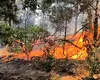 Incendiu într-o pădure din Mehedinți. Sute de salvatori se luptă cu focul care arde de o săptămână