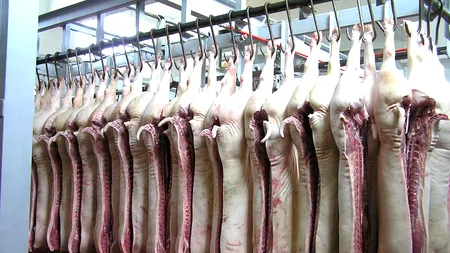Ciolacu: „Plafonăm adaosul comercial pentru carnea din import”