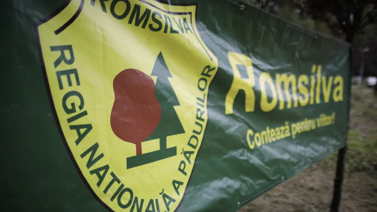De ce a ajuns Romsilva un sat fără câini