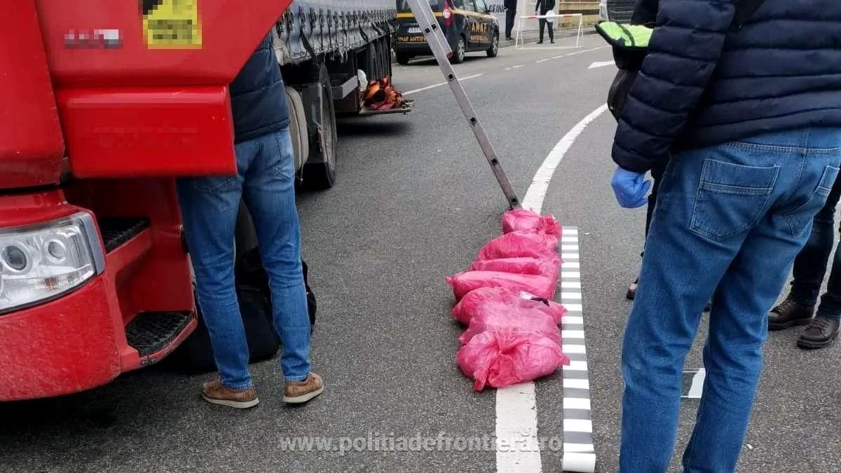 Captură impresionantă la Calafat: droguri în valoare de 1,5 milioane euro