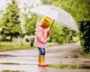 Prognoza ANM până la sfârșitul lunii Aprilie: temperaturi și precipitații de primăvară