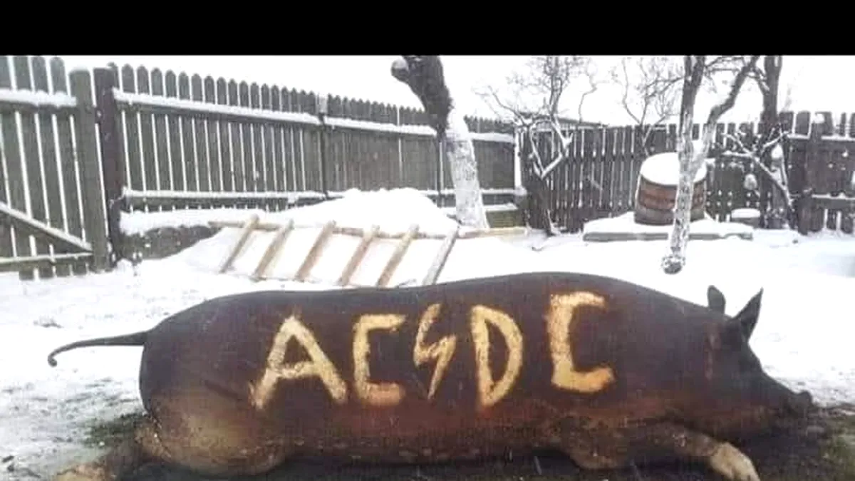 Povestea porcului de Crăciun, spusă în Canada