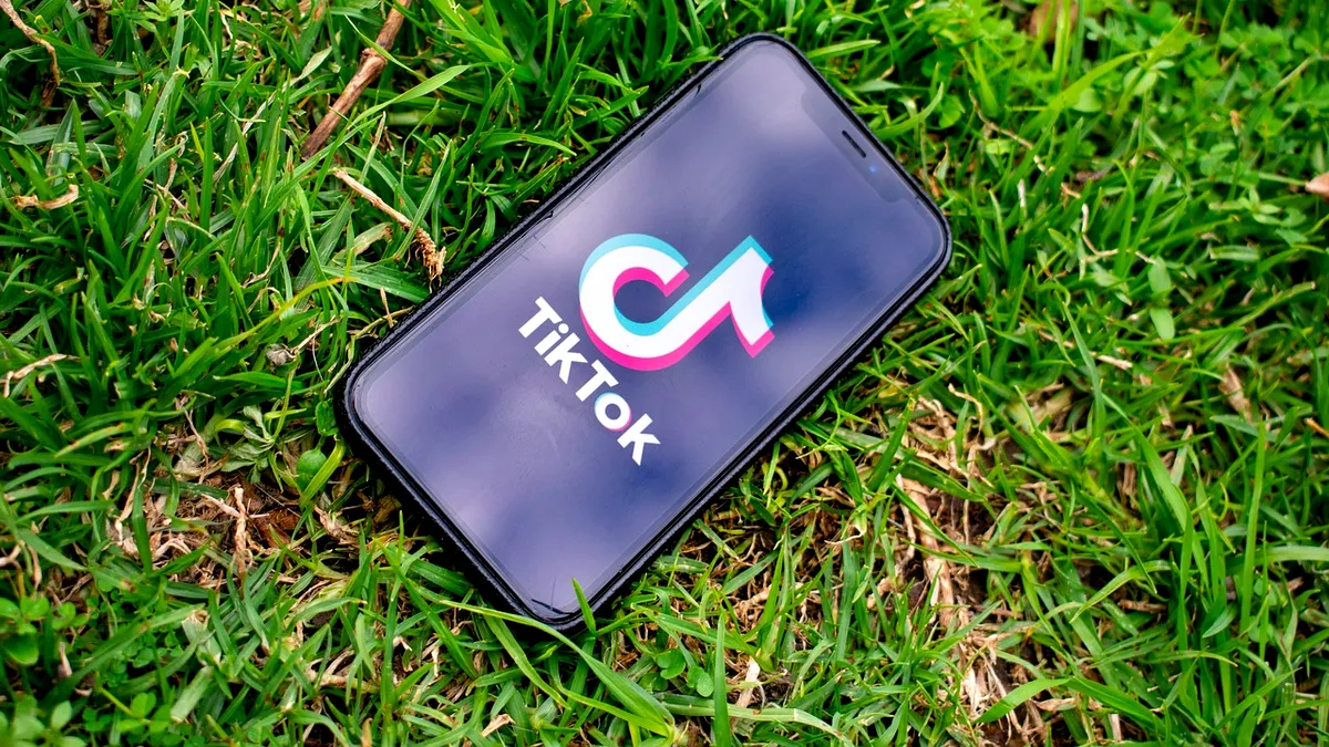 TikTok a şters 6.000 de conturi false, create în contextul alegerilor prezidențiale din România