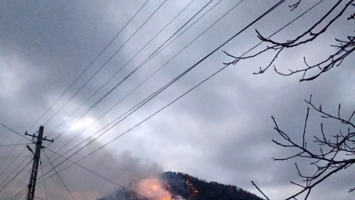 O pădure din Oituz arde de 14 ore: În zonă se află muniție rămasă neexplodată din Primul Război Mondial
