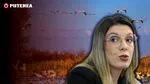 Cum a blocat Diana Buzoianu planul de management al Rezervației Biosferei Delta Dunării, prin care România riscă să returneze Comisiei Europene 9.000.000 de euro