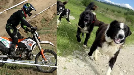 <a>Cunoscut pasionat de enduro atacat de 12 câini de stână, salvat în ultima clipă</a>
