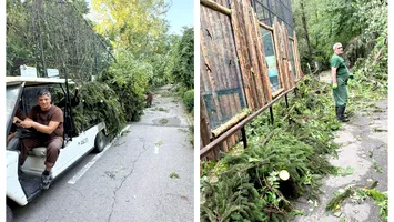 Grădina Zoologică din București, închisă temporar din cauza furtunii