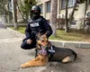 Urma mirosului i-a dat de gol: jaful din Neamț rezolvat cu ajutorul unui câine polițist