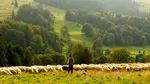 Persoană decedată găsită de un cioban, după 9 luni de căutări. Primele indicii duc la turistul britanic dispărut în viscol