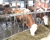 Creștere de 27% în primul trimestru și profit cu 78% mai mare. Ce companie și cum a reușit performanța