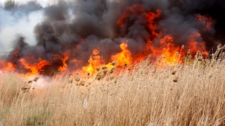 Buzău: Incendiile de vegetaţie uscată în creştere cu 171%