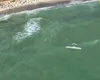 Alertă pe litoral: un pilot a semnalat o posibilă dronă care plutea pe mare, la Tuzla