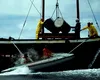 Cercetătorii cartografiază 200.000 de butoaie cu deșeuri radioactive din Oceanul Atlantic