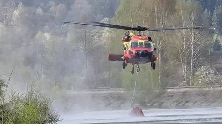 Incendiu de vegetație în Argeș: mobilizare masivă de forțe pentru stingerea flăcărilor din zona Cetățeni