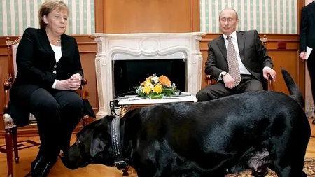 Putin: „Angela, scuză-mă!”