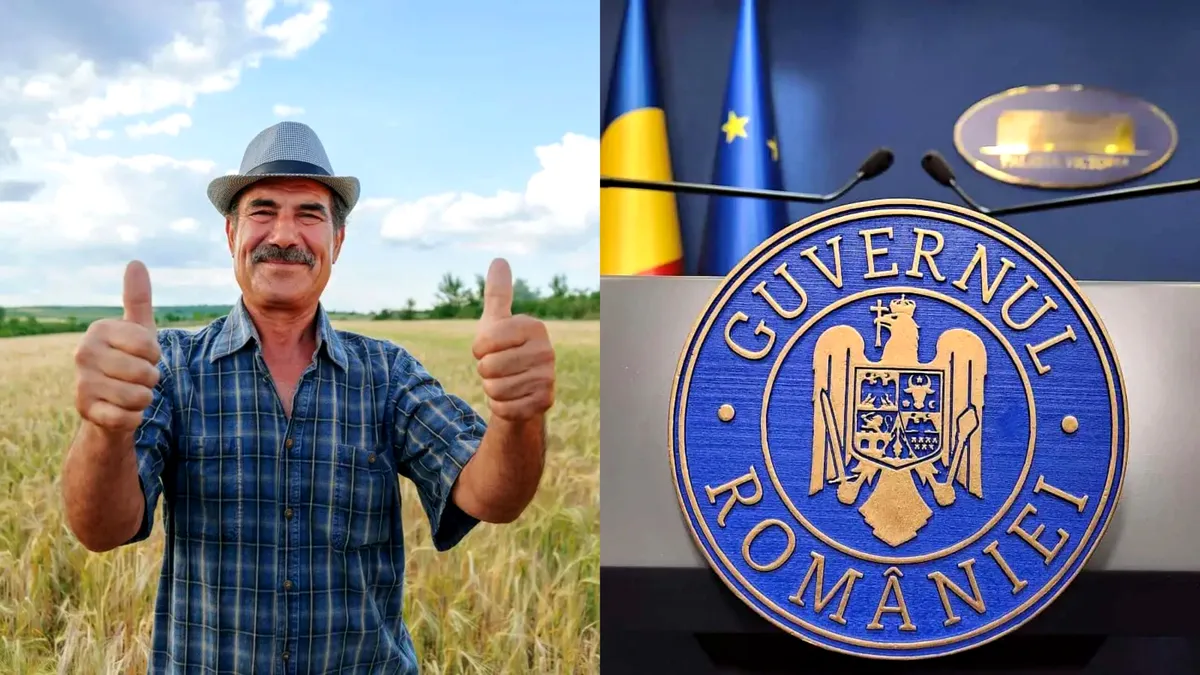 Guvernul acordă despăgubiri fermierilor afectați de vremea extremă
