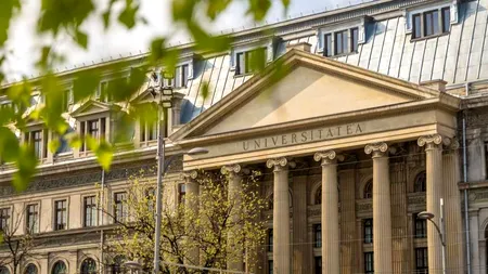 Posturi cu dedicație la Universitatea din București