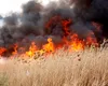 Buzău: Incendiile de vegetaţie uscată în creştere cu 171%