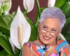 Planta care atrage iubirea în viața noastră. Floarea fericirii feminine nu ar trebui să lipsească din casele noastre