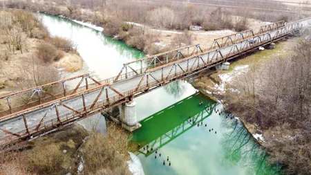 Pod care leagă două județe, sabotat de doi gândaci și o broască