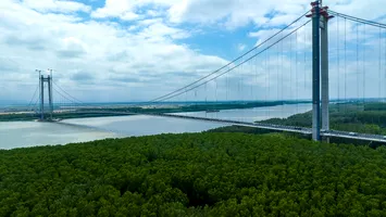 Impactul economic al Podului de la Brăila. Creștere cu 16% în afaceri, cu 18% în Transporturi și cu 15% în Turism