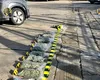 Rețea de trafic de droguri, destructurată în România. Patru persoane, arestate pentru introducerea a 37 kg de cannabis