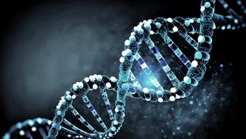 Mutație genetică anti-HIV, descoperită la strămoșii noștri de acum 9000 de ani