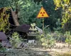 Descoperire uluitoare la Cernobîl. O ciupercă pune la încercare biologia