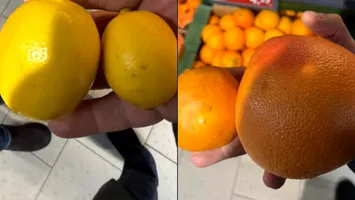 Citrice „premium” doar pe etichetă? ”Suntem bătaia de joc a importatorilor””