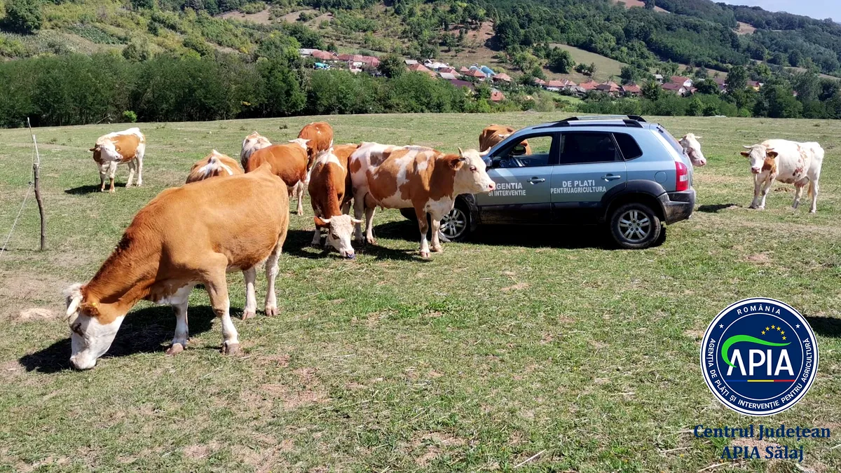 Controale APIA la fermele care au cerut subvenții. Ce trebuie făcut până la 30 septembrie