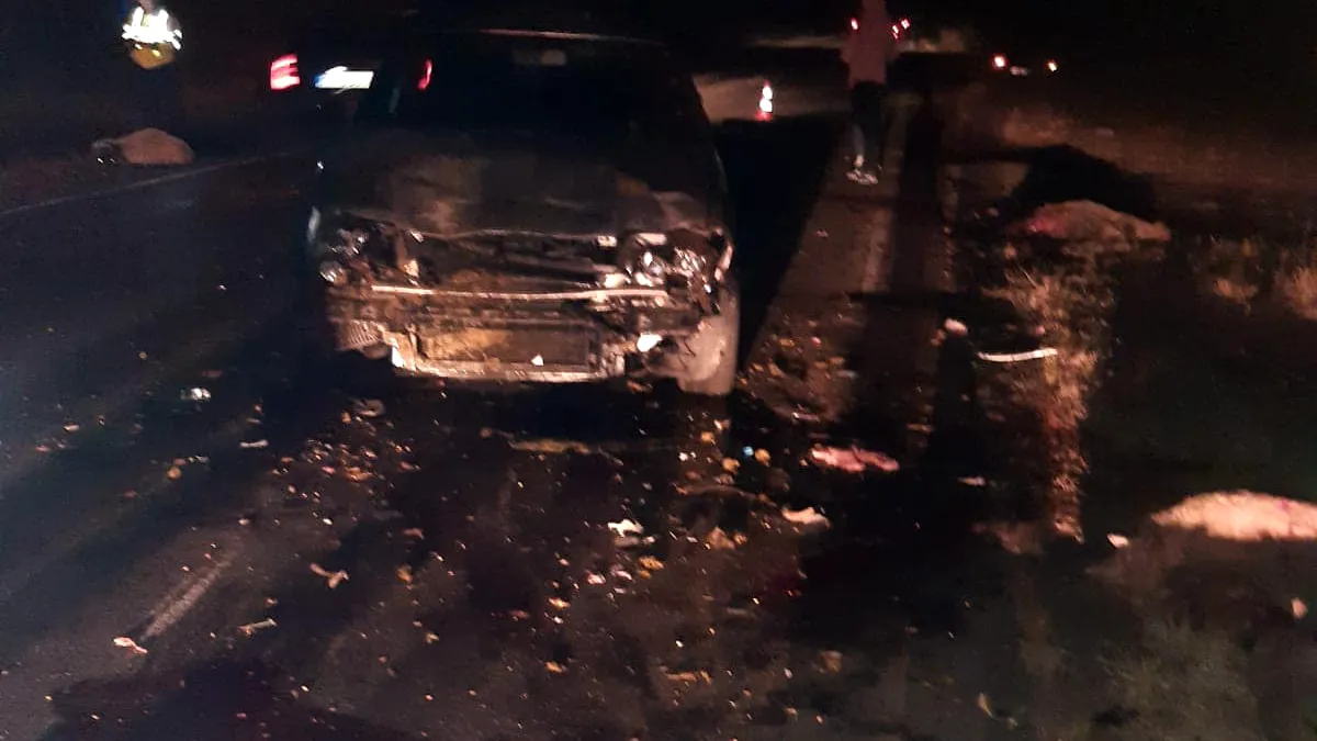 Turmă de oi lovită în plin de un autoturism, în Prahova (video)