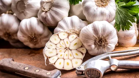 Producătorii din Buzău au creat o nouă specie de usturoi românesc, mai mare și mai gustos decât cel de import