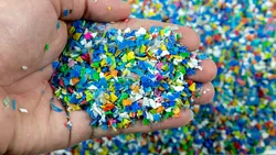 Avem sau nu microplastice în organism? Acuzaţii grave lansate între specialişti