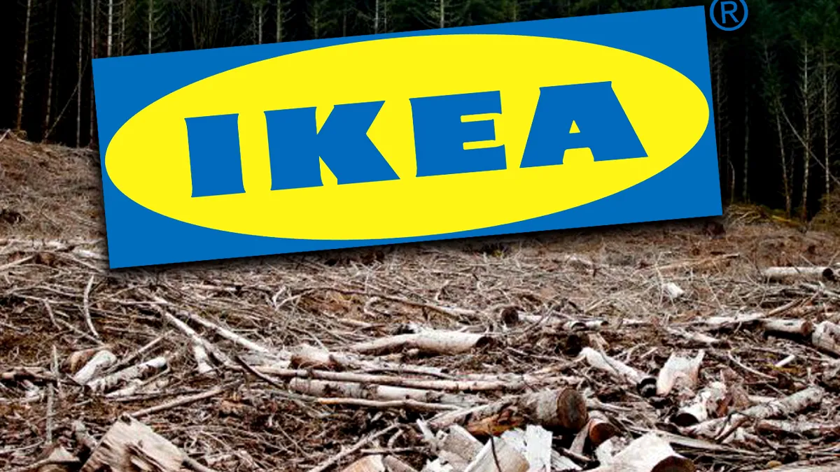 Ikea, aspru criticată în presa internațională: ”Un copac tăiat la fiecare 2 secunde”