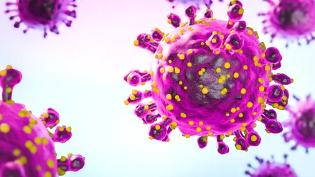 Un nou virus provoacă îngrijorarea medicilor